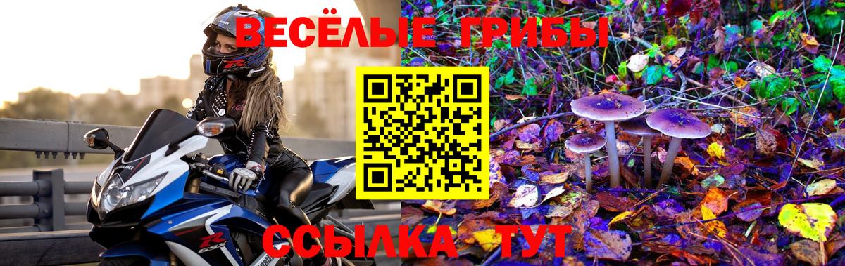 Псилоцибиновые грибы мицелий Владивосток