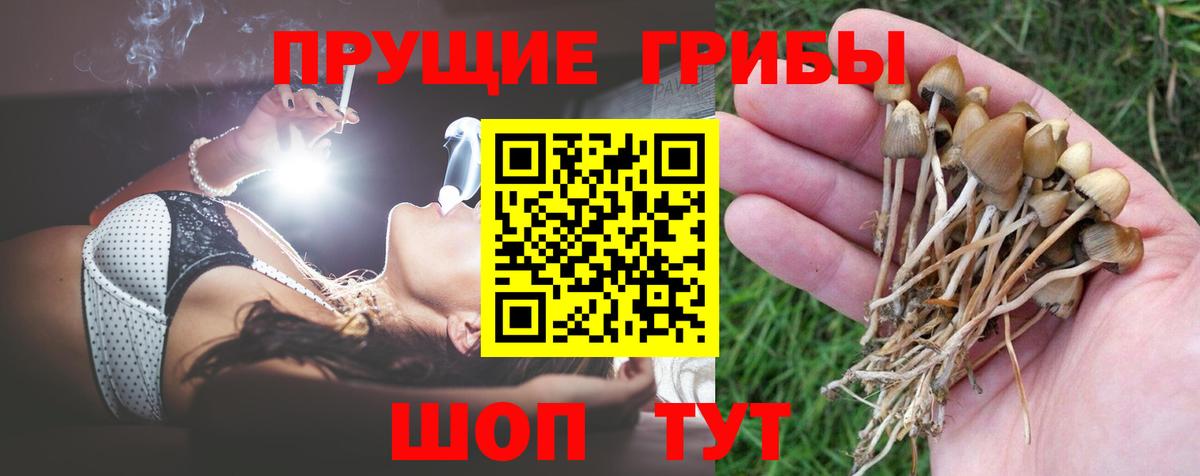 Галлюциногенные грибы Cubensis  Галлюциногенные грибы Magic Shrooms  Владивосток  Вход с VPN 